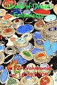 World of Orient III   001